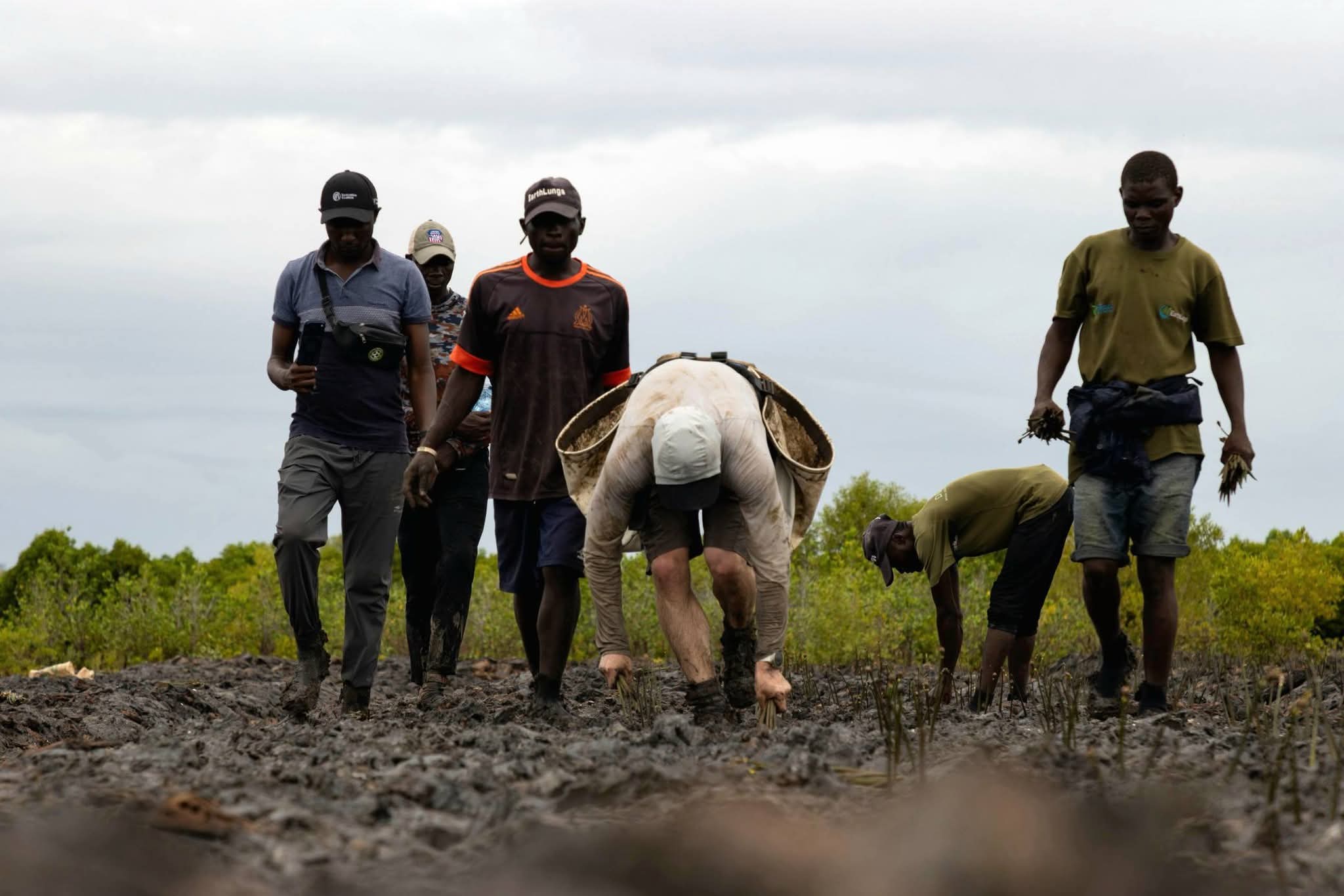 Enviroment champion, Antoine Moses planting mangrove seedlings at Mirarani restoration site in Tudor Creek, Mombasa county. 