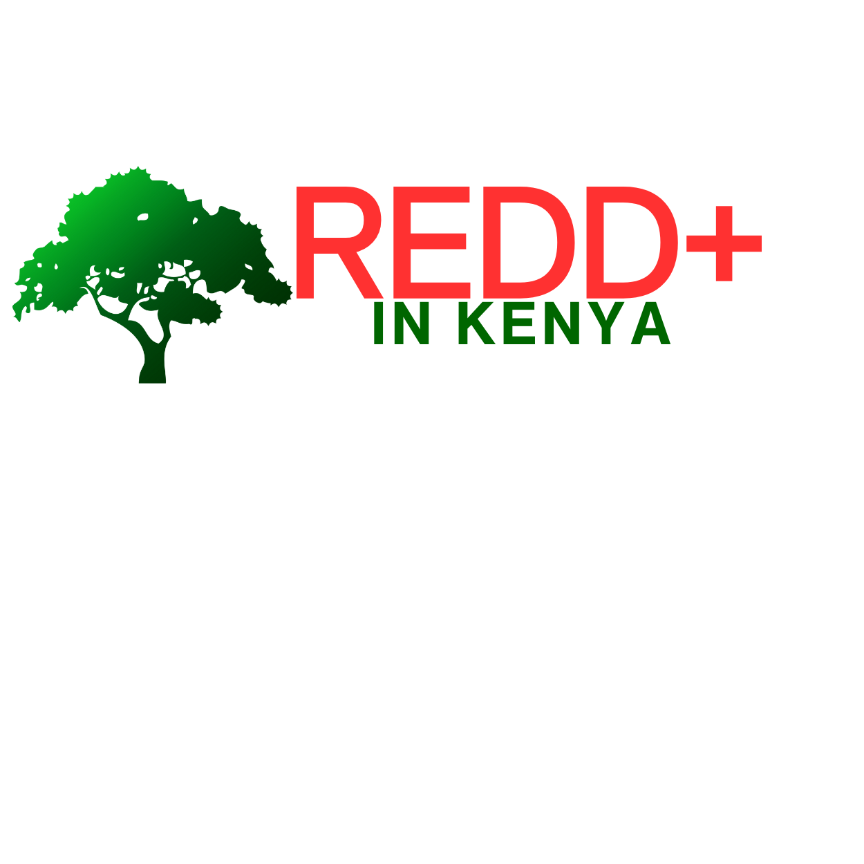 REDD +