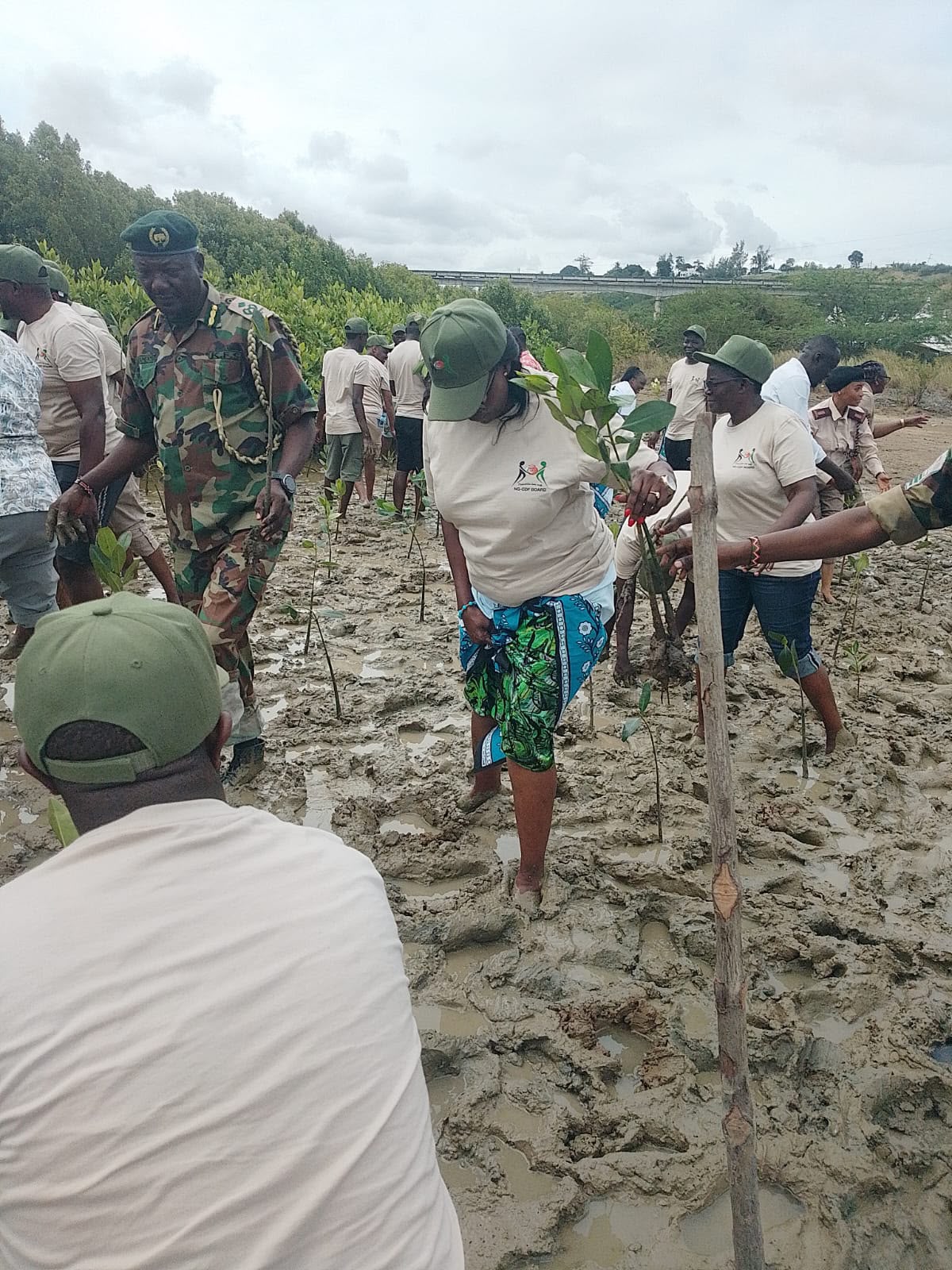 Mombasa community members and local leaders during a 2000 mangrove planting drive as a major ecosystem restoration effort.