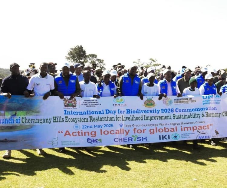 "Acting local for a global iimpact": Leaders and community members commemorate the International Day of Biodiversity 2026 with the launch of the CHERISH Programme in Cherengany Hills.