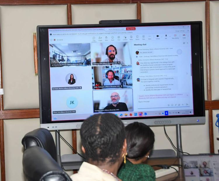 State department official together with CIAT officials during a virtual engagement meeting on advancing the 15Billion Trees programme.