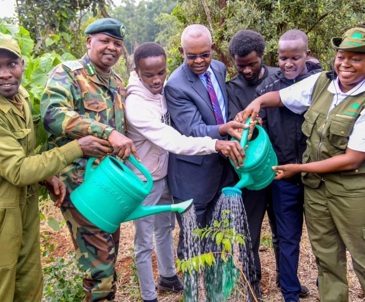 ceremonial tree planting during the celebration of 60th anniversary of the Central Bank of Kenya.