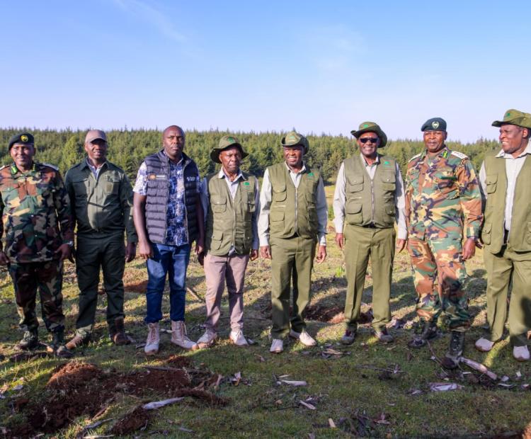 Government officials led by the Chief of Staff Dr. Felix Koskei during the mass tree planting drive.