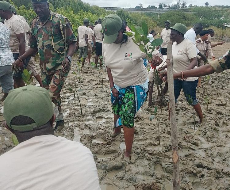 Mombasa community members and local leaders during a 2000 mangrove planting drive as a major ecosystem restoration effort.