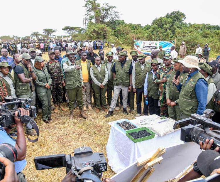 His Excellency President Dr. William Samoei Ruto alongside other government officials during the mazingira celebrations 2026 